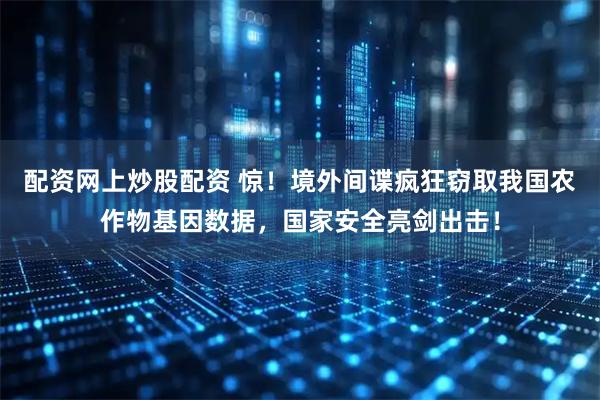 配资网上炒股配资 惊！境外间谍疯狂窃取我国农作物基因数据，国家安全亮剑出击！