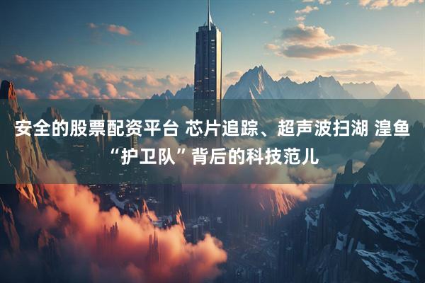 安全的股票配资平台 芯片追踪、超声波扫湖 湟鱼“护卫队”背后的科技范儿